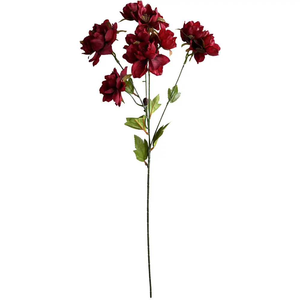 630990红.webp