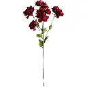 630990红.webp