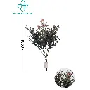 630994-2.webp