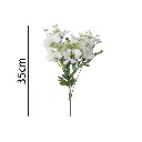 631035BLANCO.webp