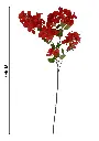 631067红色.webp