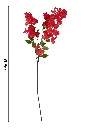 631067玫红.webp