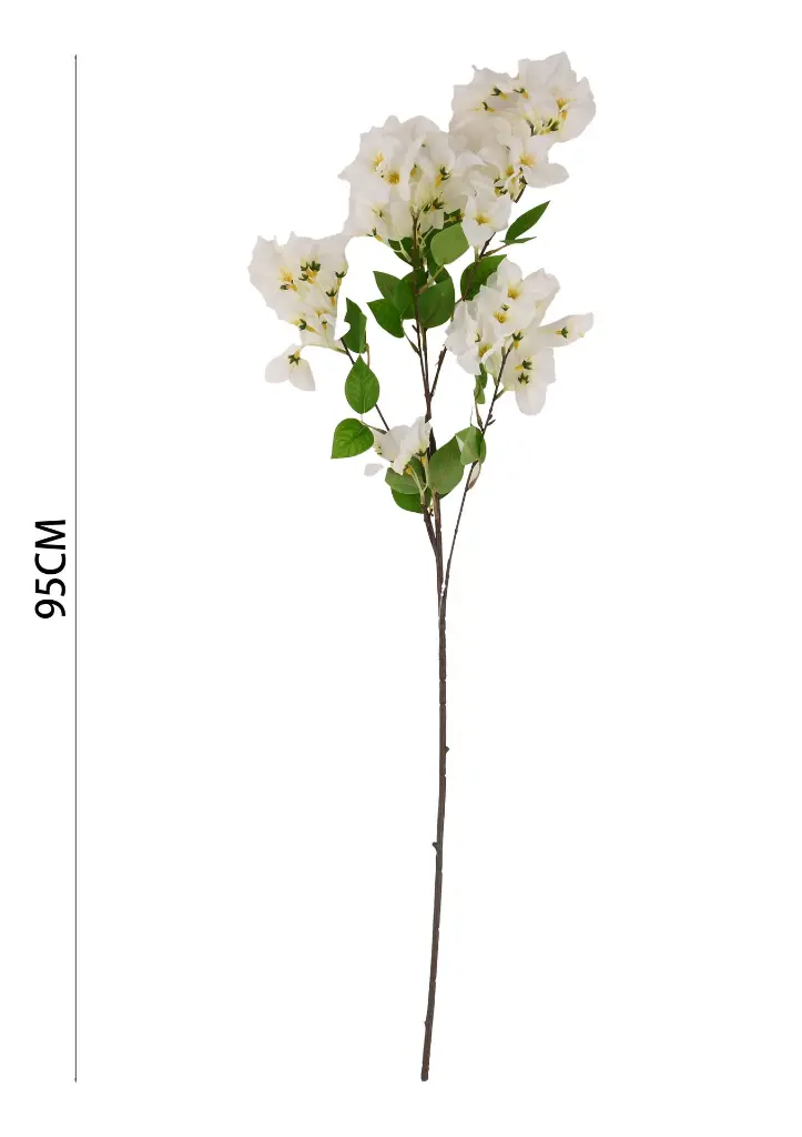 631067白色.webp