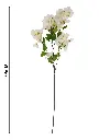 631067白色.webp