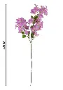 631068紫色.webp