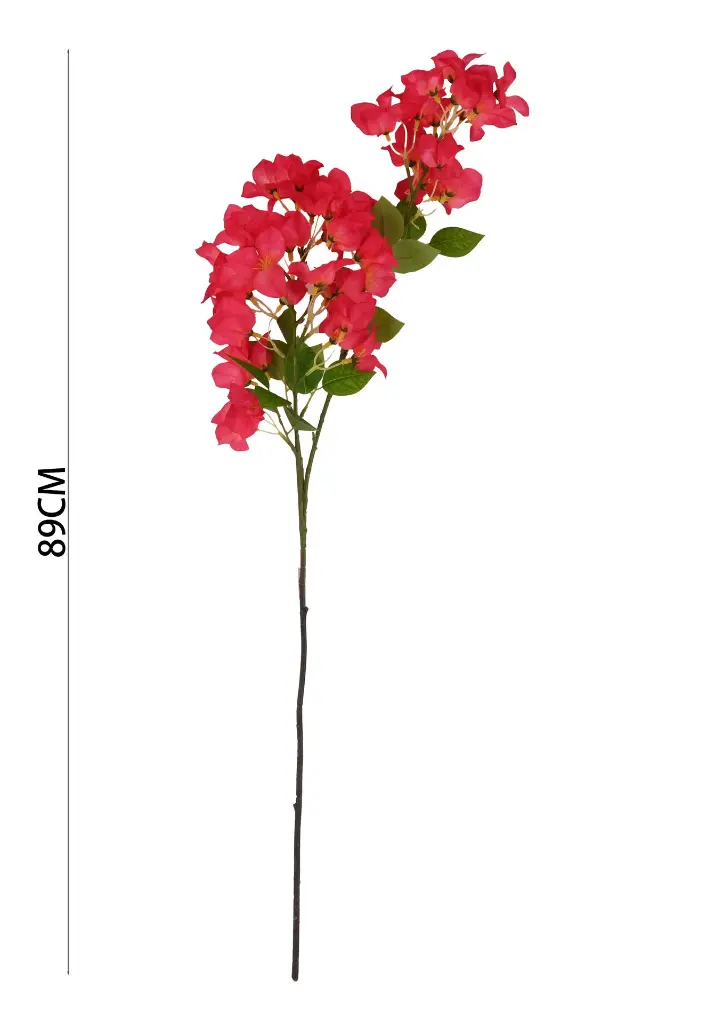631068玫红.webp