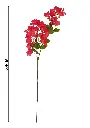 631068玫红.webp