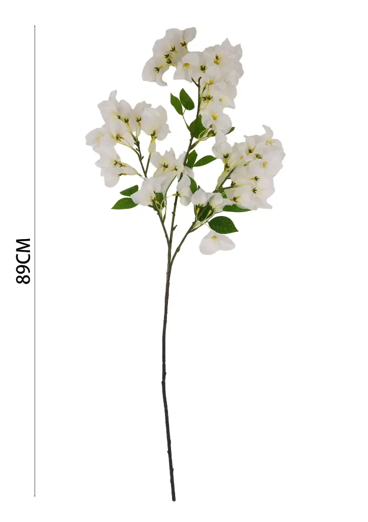 631068白色.webp