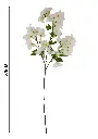 631068白色.webp