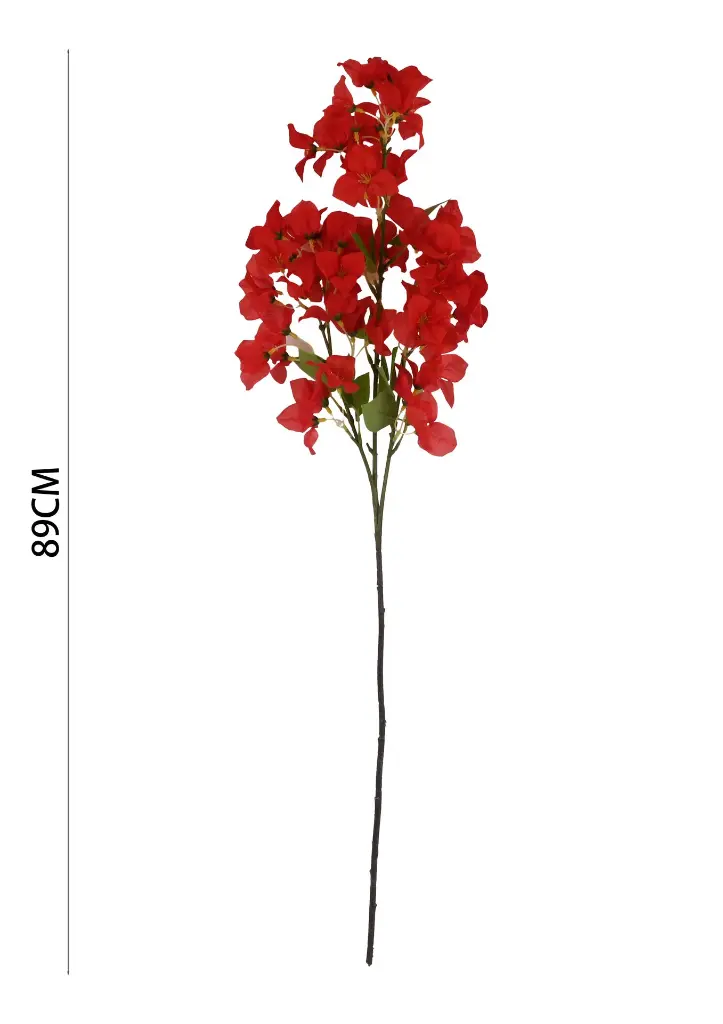 631068红色.webp