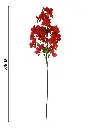 631068红色.webp