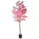 631450ROSA-2.webp