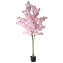 631450ROSA CLARO-2.webp