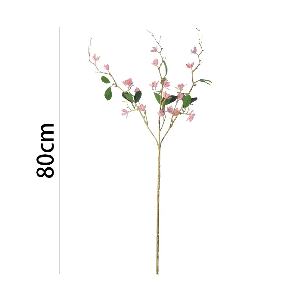 631103ROSA.webp