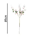 631103ROSA.webp