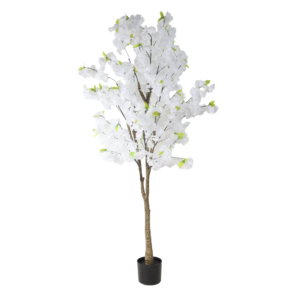 631450BLANCO-1.webp