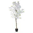 631450BLANCO-1.webp
