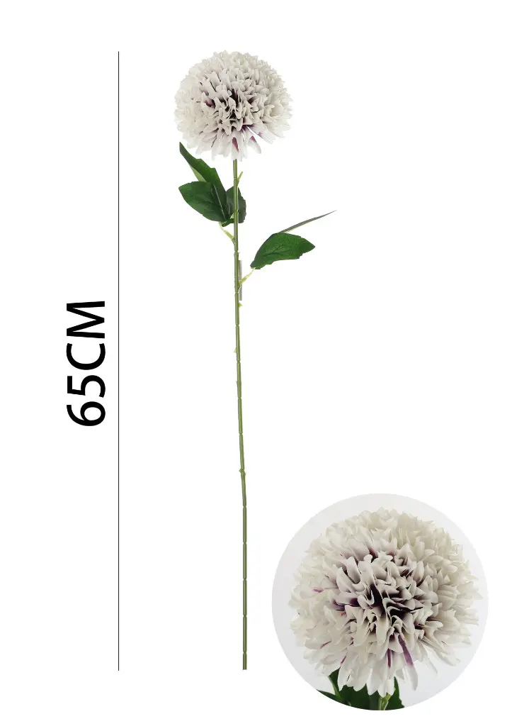 631112-白紫心.webp
