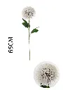 631112-白紫心.webp
