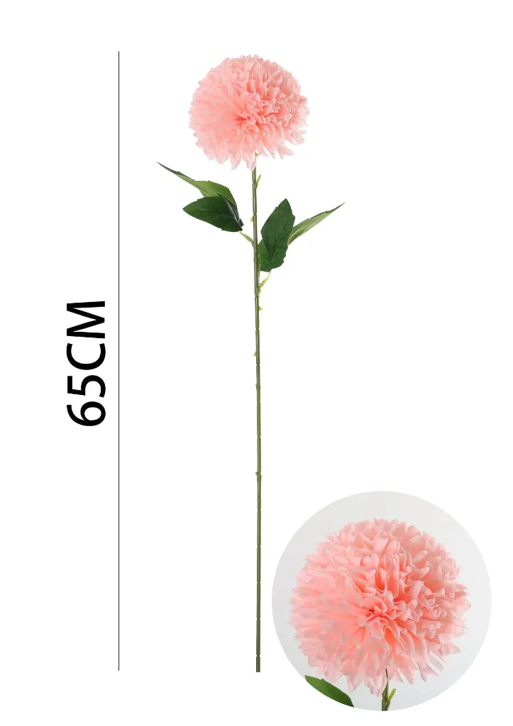 631112-粉.webp