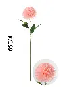 631112-粉.webp