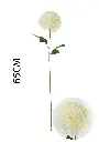 631112-纯白.webp