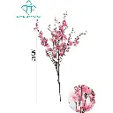 631113ROSA.webp