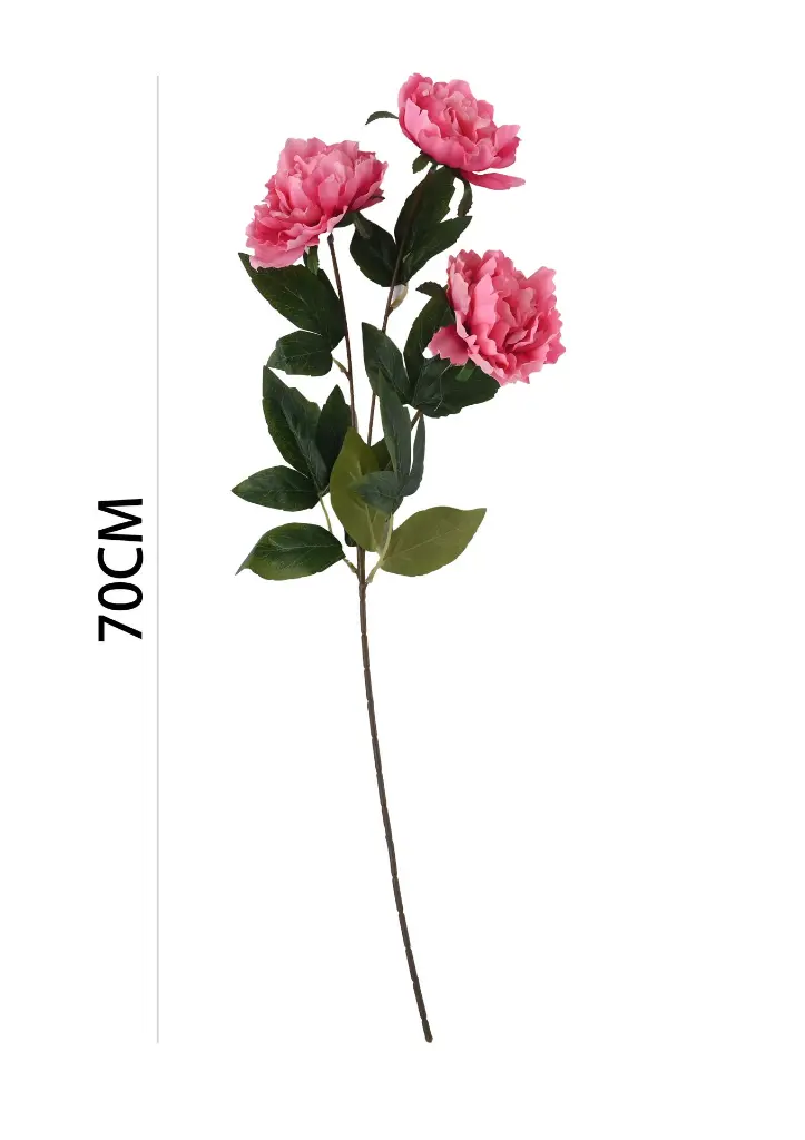 631114ROSA OSCURO.webp