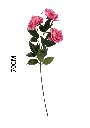 631114ROSA OSCURO.webp