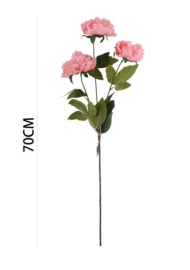 631114ROSA.webp