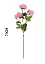 631114ROSA.webp