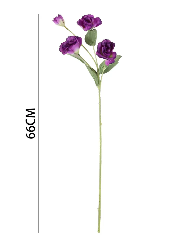 631115MORADO.webp