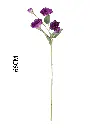 631115MORADO.webp