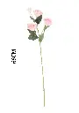 631115ROSA.webp