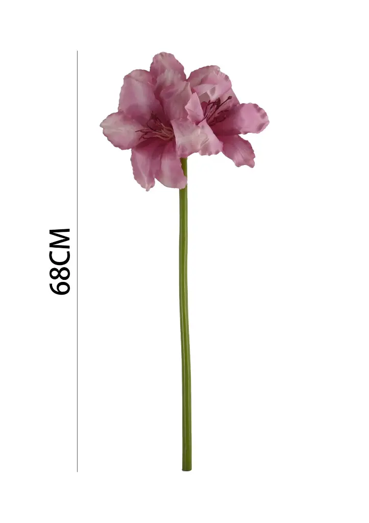 631116MORADO.webp