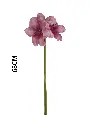 631116MORADO.webp
