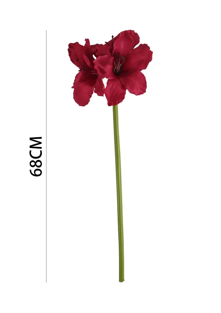 631116ROJO.webp
