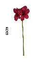 631116ROJO.webp