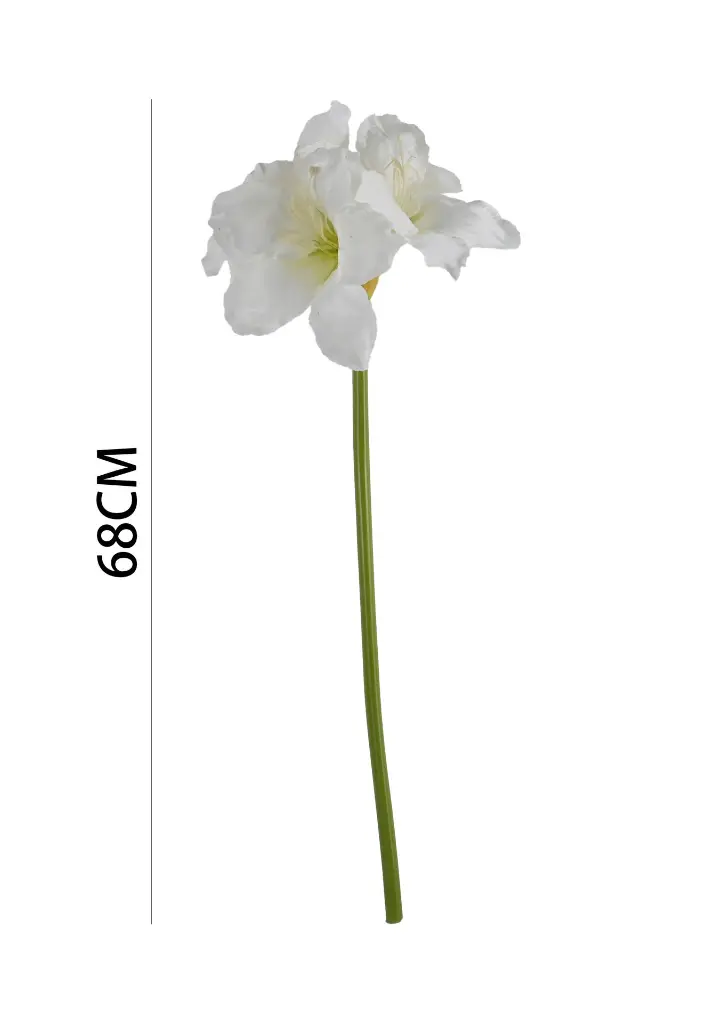 631116BLANCO.webp