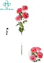 631117MEIHONG.webp