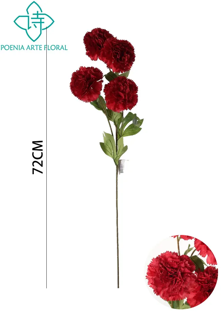 631117ROJO.webp
