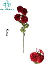 631117ROJO.webp