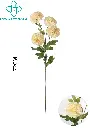 631117CHAMPAGNE.webp