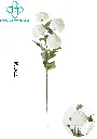 631117BLANCO.webp