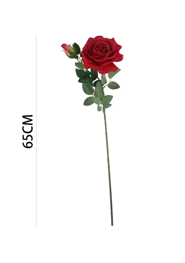 631118ROJO.webp