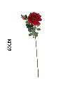 631118ROJO.webp