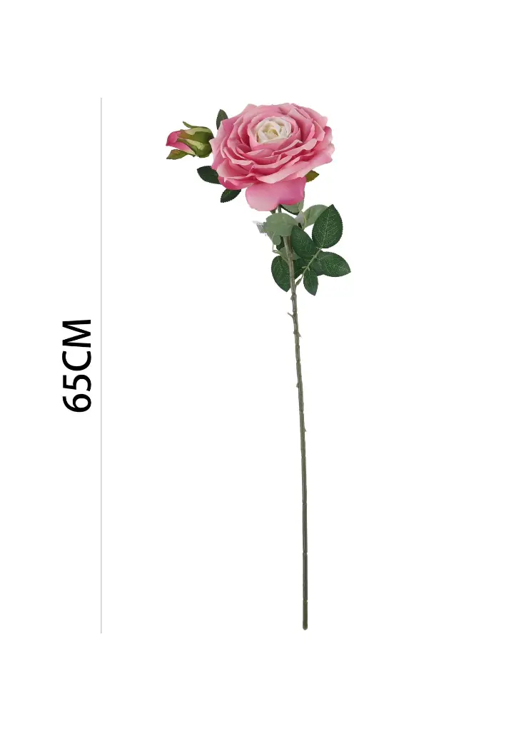 631118ROSA.webp