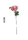631118ROSA.webp