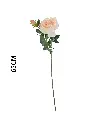 631118CHAMPAGNE.webp