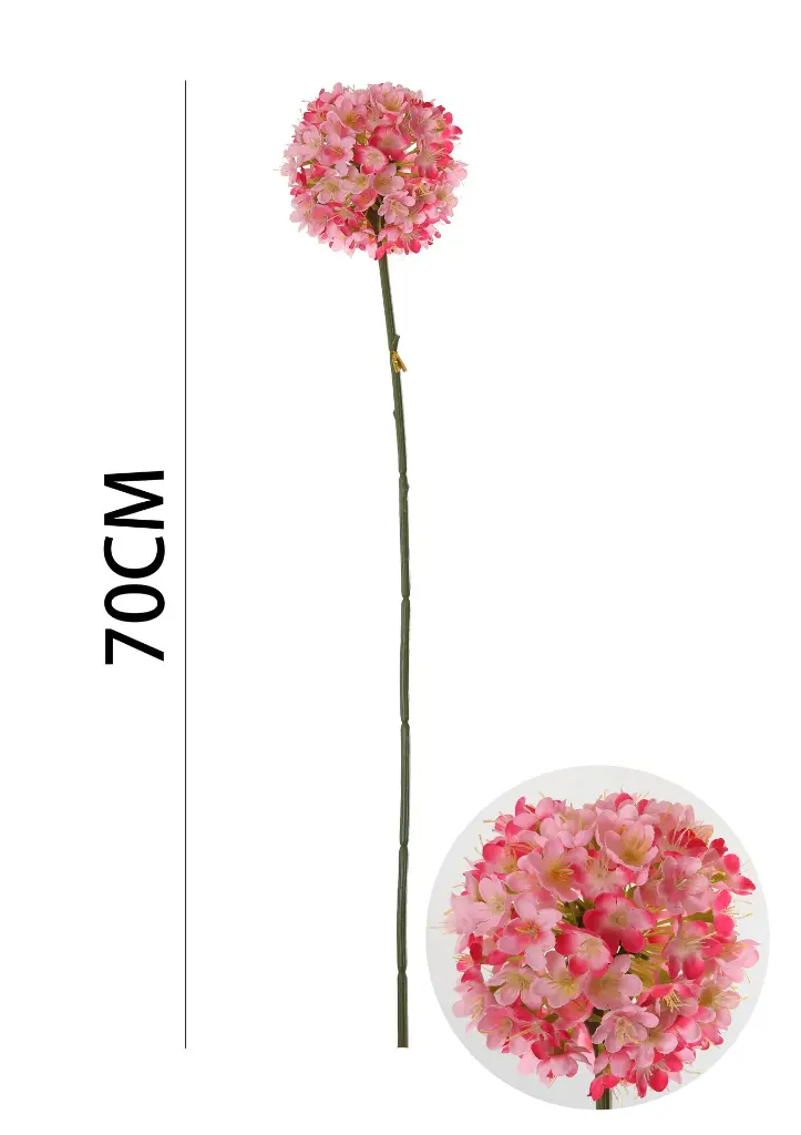 631119-粉.webp